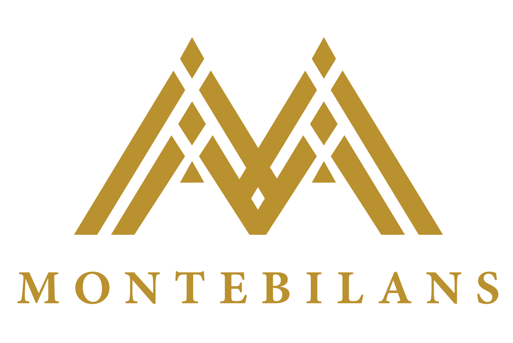 Montebilans